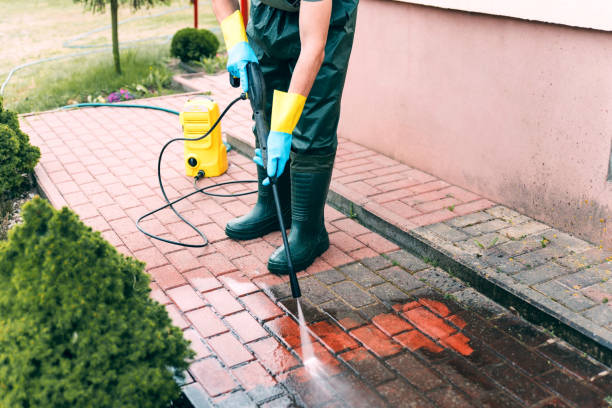 Best Dumpster Area Cleaning  in Pinch, WV